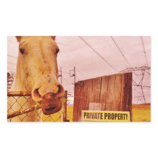Pink Private Property Horse Rectangular Sticker