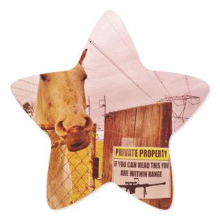 Pink Private Property Horse Star Sticker
