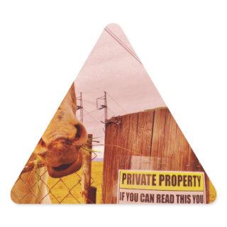 Pink Private Property Horse Triangle Sticker