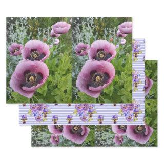 Pink Purple Poppies Mauve Purple Flower Gift   Sheets