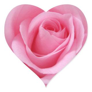 Pink rose flower close up picture heart sticker