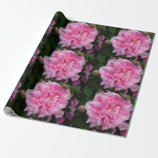 Pink Vintage Roses flowers floral Wrapping