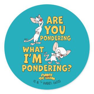 Pinky and the Brain | Are You Pondering? Classic Round Sticker