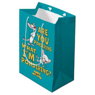 Pinky and the Brain | Are You Pondering? Medium Gift Bag