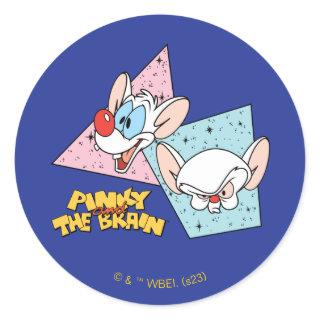 Pinky and the Brain | Retro Character Graphics Classic Round Sticker