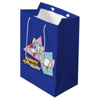 Pinky and the Brain | Retro Character Graphics Medium Gift Bag