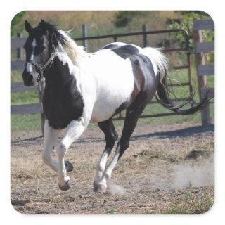 Pinto Paint Horse Square Sticker