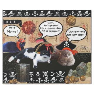 PIRATE CATS AND ANTIQUE PIRATES TREASURE MAPS