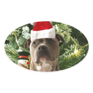 Pitbull Dog Christmas Tree Ornaments Snowman Oval Sticker