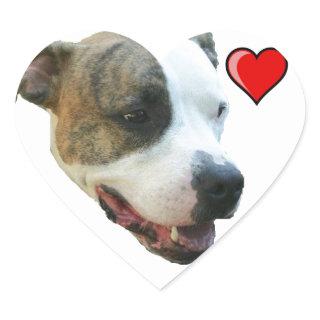 PItbull Sticker