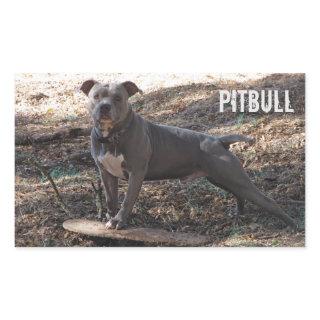 Pitbull with Skateboard Stickers
