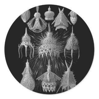 Plankton Shells in Black and White (Cyrtoidea) Classic Round Sticker