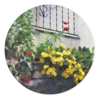 Planter With Yellow Flowering Cactus Classic Round Sticker