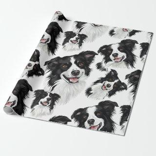 Playful Border Collie
