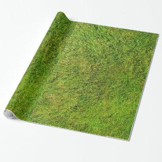 Plush Green Grass Pattern Texture Background