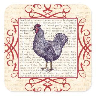 Plymouth Rock Rooster Vintage Poultry Farm Square Sticker