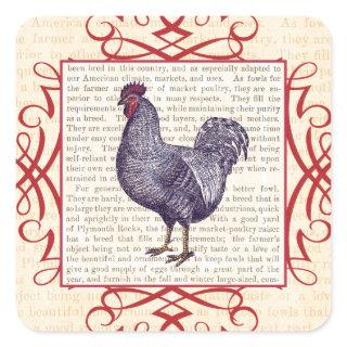 Plymouth Rock Rooster Vintage Poultry Farm Square Sticker