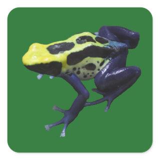 Poison Dart Frog Square Sticker