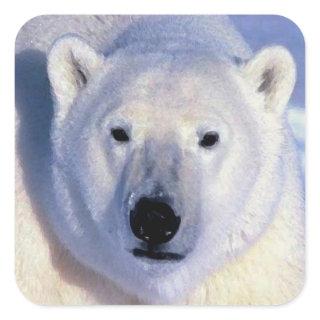 Polar Bear Square Sticker
