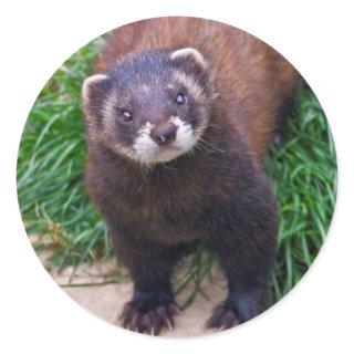 Polecat Sticker
