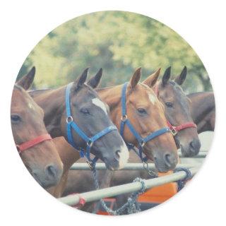 Polo Pony String Classic Round Sticker