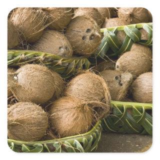 Polynesia, Kingdom of Tonga. Display of coconuts Square Sticker