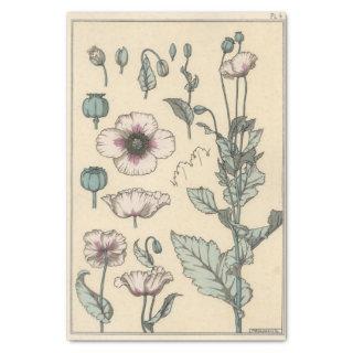 Poppy, Eugene Grasset's Botany Series Tissue Paper