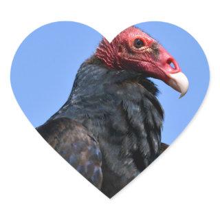 Portrait Turkey vulture Heart Sticker
