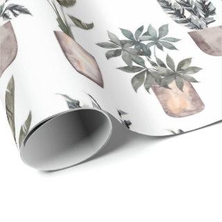 Potted Plants On White