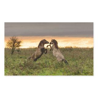 Prancing wild horses rectangular photo sticker