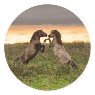 Prancing wild horses round sticker