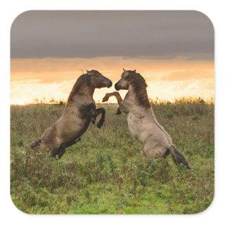 Prancing wild horses square sticker