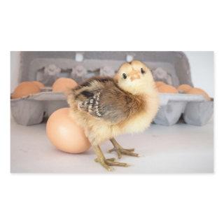 Precious Baby Chick and Eggs Rectangular Sticker