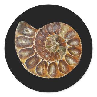 prehistoric fossil snail shell black animal nature classic round sticker