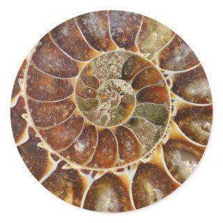 prehistoric fossil snail shell black animal nature classic round sticker
