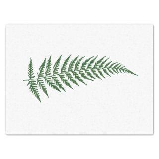 Pressed Botanical Fern Leaf - Mix and Match Color Tissue Paper