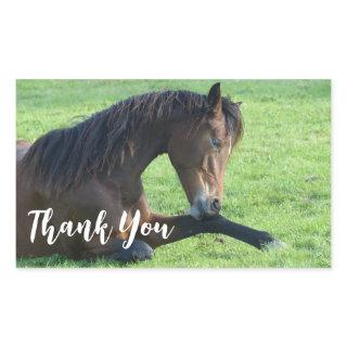 Pretty Brown Horse Laying in the Grass Thank You Rectangular Sticker