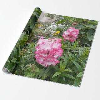 Pretty Pink Penstemon Flower Floral Pattern Garden