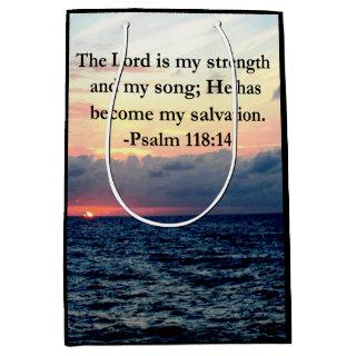 PRETTY PSALM 118 14 SUNRISE OVER THE OCEAN MEDIUM GIFT BAG