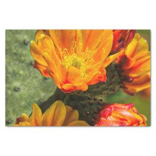 Prickly Pear Cactus Blossoms Tissue Paper