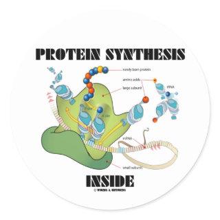 Protein Synthesis Inside (Cell Biology) Classic Round Sticker