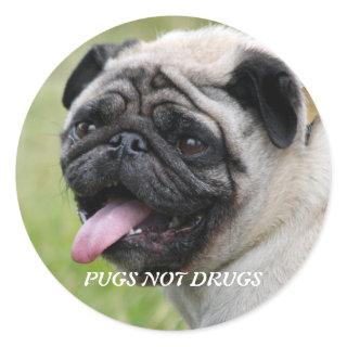 Pugs not drugs,  pug dog  photo sticker, stickers