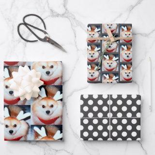 Puppy Dog Custom Photo Pomeranian  Sheets