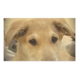 Puppy Love: Man's Best Friend Rectangular Sticker
