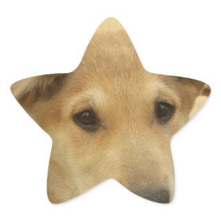 Puppy Love: Man's Best Friend Star Sticker