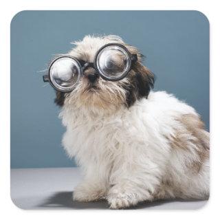 Puppy wearing thick glasses square sticker