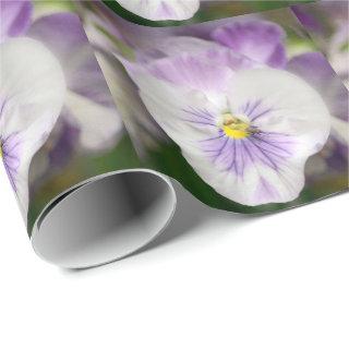 Purple and White Violas by Shirley Taylor