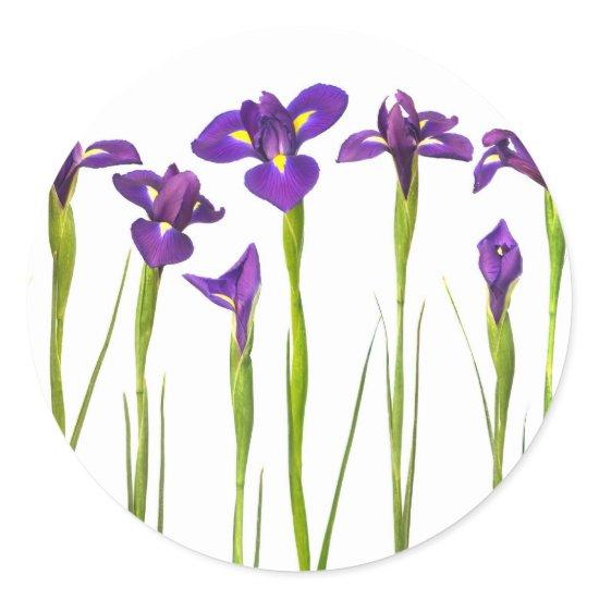 Purple Irises - Iris Flower Customized Template Classic Round Sticker