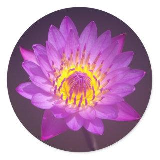 Purple Lotus Flower Classic Round Sticker