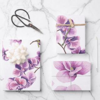 Purple Orchid  Set